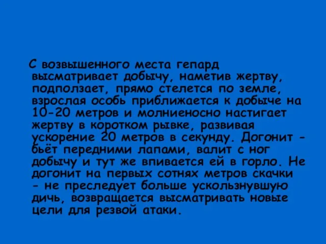 С возвышенного места гепард высматривает добычу, наметив жертву, подползает, прямо стелется по