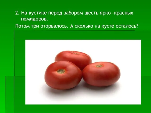 2. На кустике перед забором шесть ярко –красных помидоров. Потом три оторвалось.