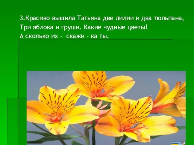 3.Красиво вышила Татьяна две лилии и два тюльпана, Три яблока и груши.