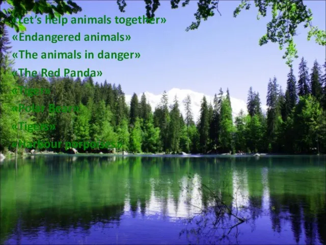 «Let’s help animals together» «Endangered animals» «The animals in danger» «The Red