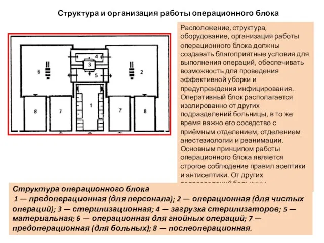 Структура и организация работы операционного блока Расположение, структура, оборудование, организация работы операционного