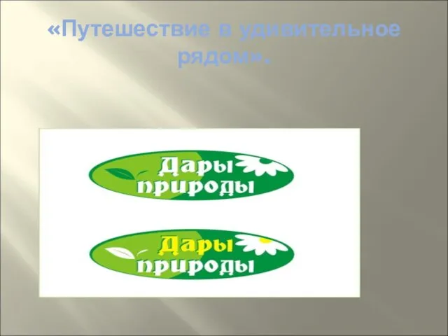 «Путешествие в удивительное рядом».