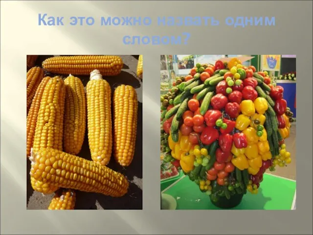 Как это можно назвать одним словом?