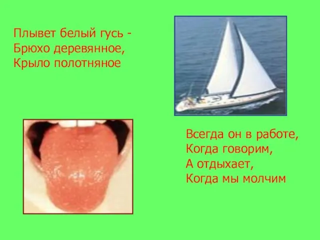 Плывет белый гусь - Брюхо деревянное, Крыло полотняное Всегда он в работе,