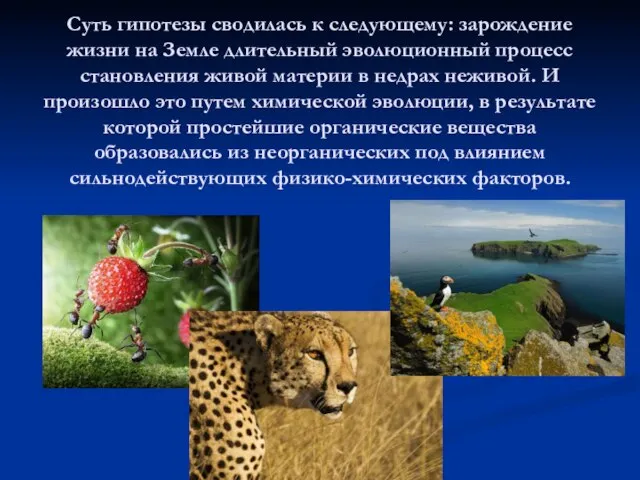 Суть гипотезы сводилась к следующему: зарождение жизни на Земле длительный эволюционный процесс