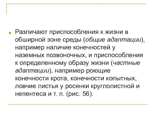 Различают приспособления к жизни в обширной зоне среды (общие адаптации), например наличие