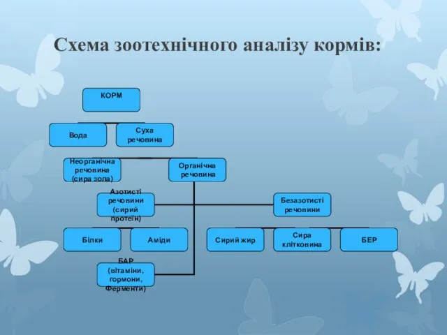 Схема зоотехнічного аналізу кормів: