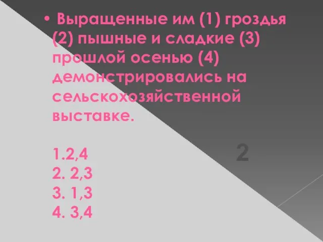 Выращенные им (1) гроздья (2) пышные и сладкие (3) прошлой осенью (4)