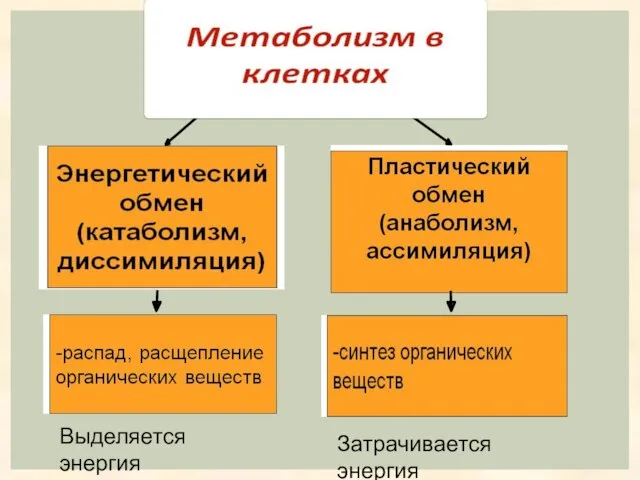 Выделяется энергия Затрачивается энергия