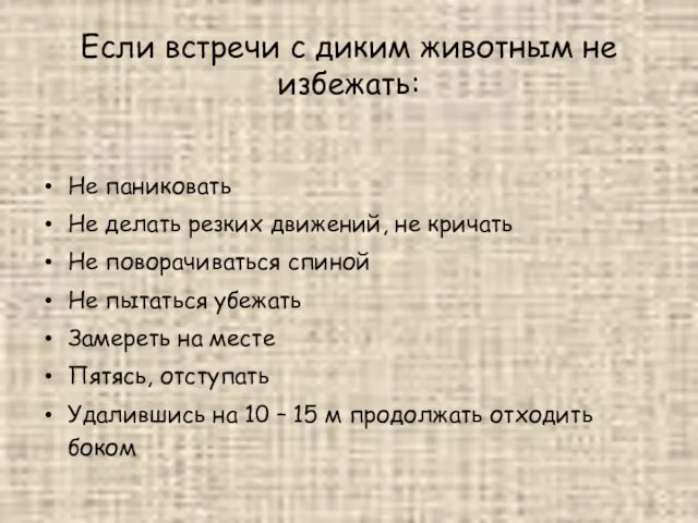 Если встречи с диким животным не избежать: Не паниковать Не делать резких