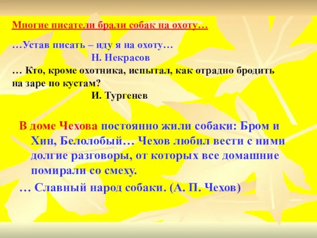 В доме Чехова постоянно жили собаки: Бром и Хин, Белолобый… Чехов любил