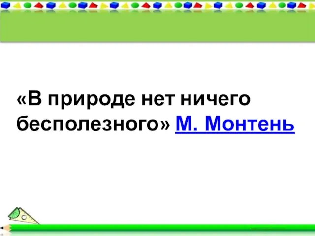 «В природе нет ничего бесполезного» М. Монтень