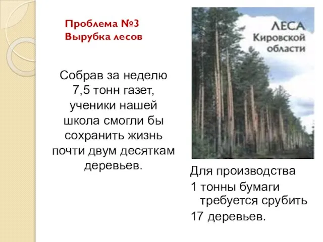 Для производства 1 тонны бумаги требуется срубить 17 деревьев. Собрав за неделю