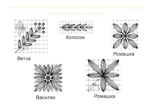 Растительные формы орнамента из длинных стежков, применяемые в гипюре Ветка Ромашка Ромашка Василек Колосок