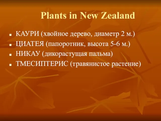 Plants in New Zealand КАУРИ (хвойное дерево, диаметр 2 м.) ЦИАТЕЯ (папоротник,