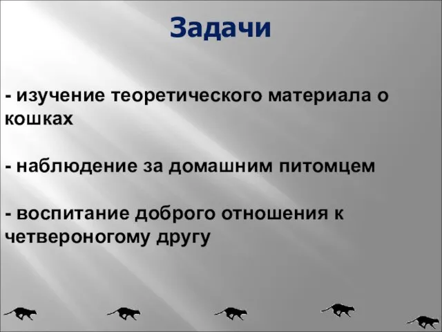 Задачи - изучение теоретического материала о кошках - наблюдение за домашним питомцем