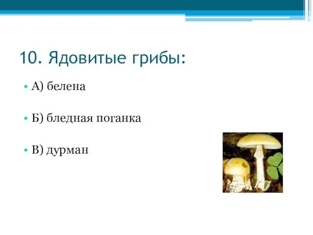 10. Ядовитые грибы: А) белена Б) бледная поганка В) дурман