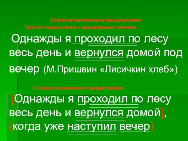 Сложноподчиненное предложение Однажды я проходил по лесу весь день и вернулся домой