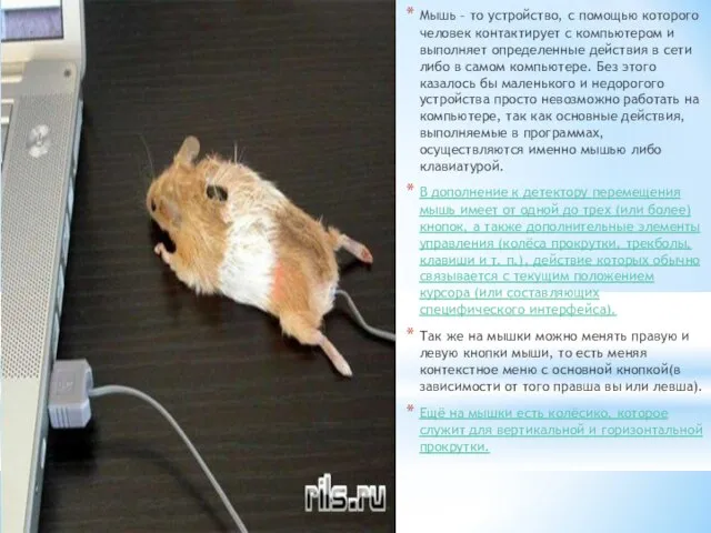 Мышь – то устройство, с помощью которого человек контактирует с компьютером и