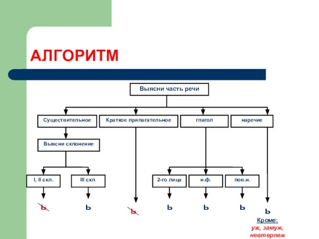 АЛГОРИТМ