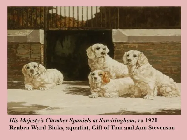 His Majesty's Clumber Spaniels at Sandringhom, ca 1920 Reuben Ward Binks, aquatint,