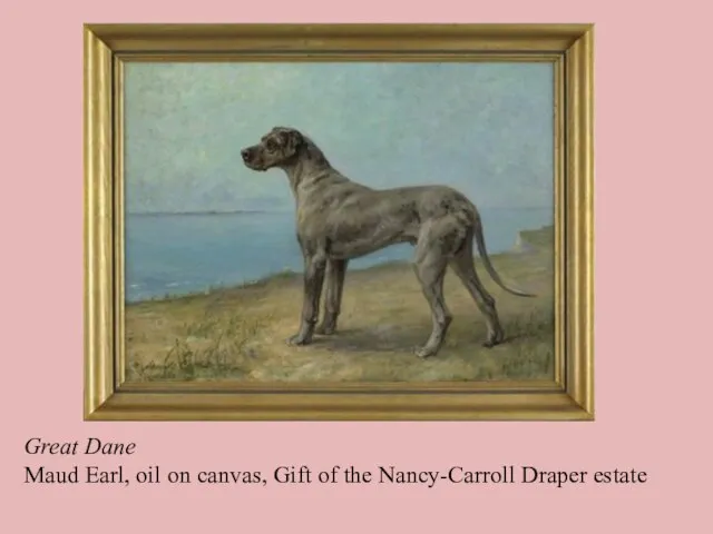 Great Dane Maud Earl, oil on canvas, Gift of the Nancy-Carroll Draper estate