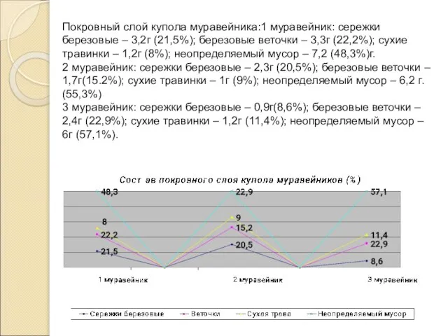 Покровный слой купола муравейника:1 муравейник: сережки березовые – 3,2г (21,5%); березовые веточки