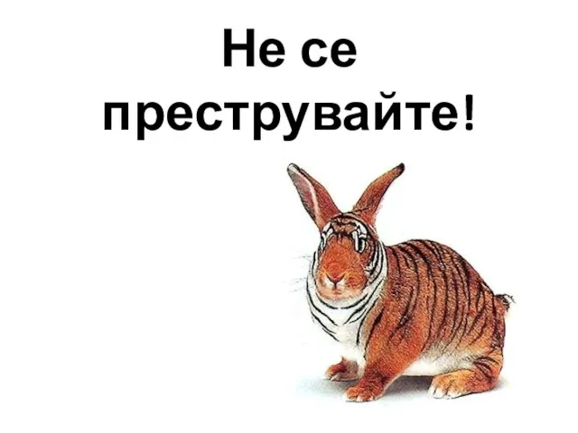 Не се преструвайте!