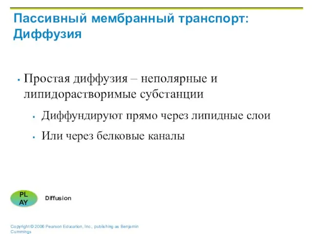 Пассивный мембранный транспорт: Диффузия Простая диффузия – неполярные и липидорастворимые субстанции Диффундируют