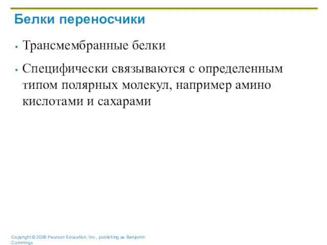 Белки переносчики Трансмембранные белки Специфически связываются с определенным типом полярных молекул, например амино кислотами и сахарами