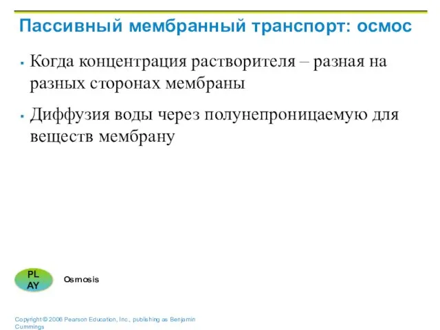 Пассивный мембранный транспорт: осмос Когда концентрация растворителя – разная на разных сторонах