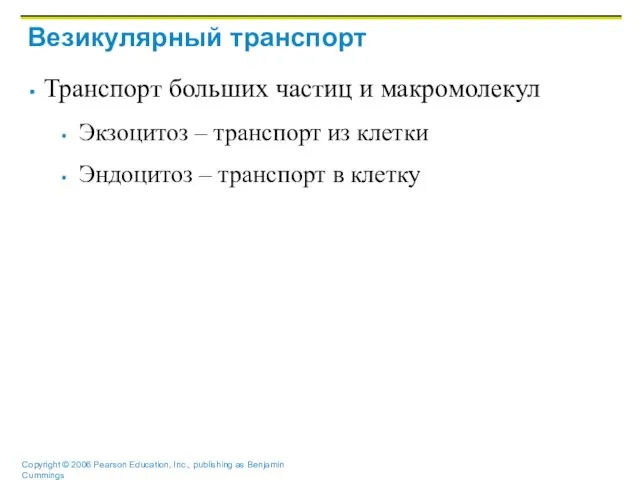 Везикулярный транспорт Транспорт больших частиц и макромолекул Экзоцитоз – транспорт из клетки