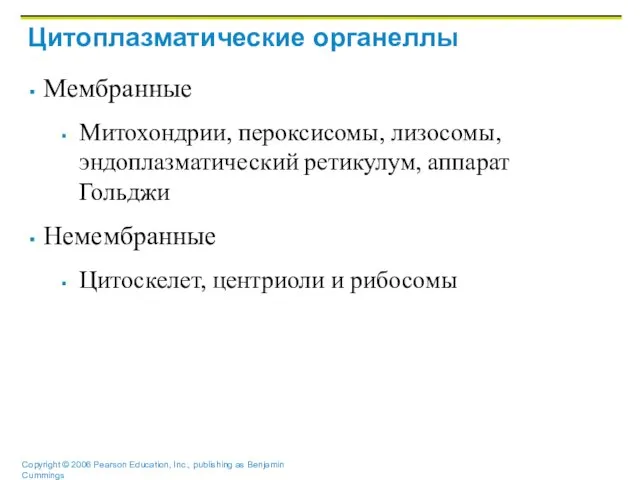 Цитоплазматические органеллы Мембранные Митохондрии, пероксисомы, лизосомы, эндоплазматический ретикулум, аппарат Гольджи Немембранные Цитоскелет, центриоли и рибосомы