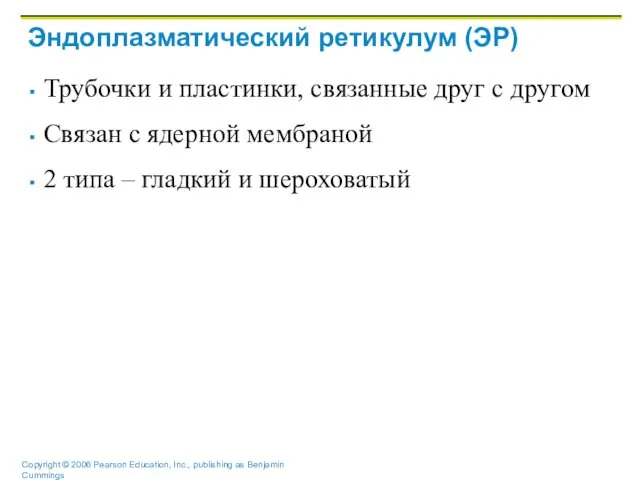 Эндоплазматический ретикулум (ЭР) Трубочки и пластинки, связанные друг с другом Связан с