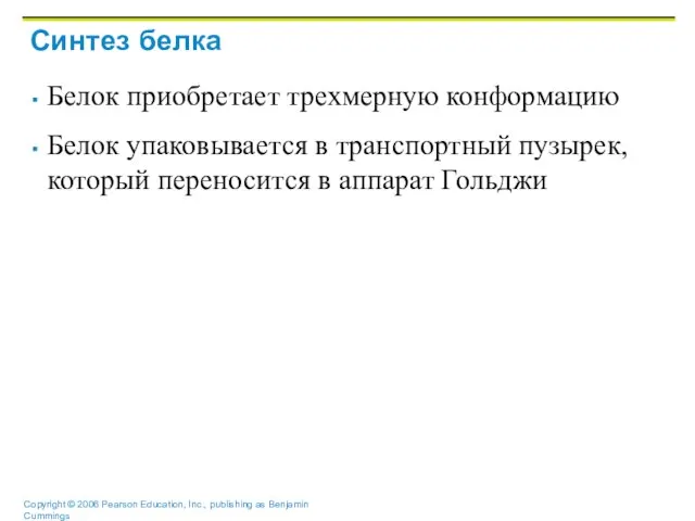 Синтез белка Белок приобретает трехмерную конформацию Белок упаковывается в транспортный пузырек, который переносится в аппарат Гольджи