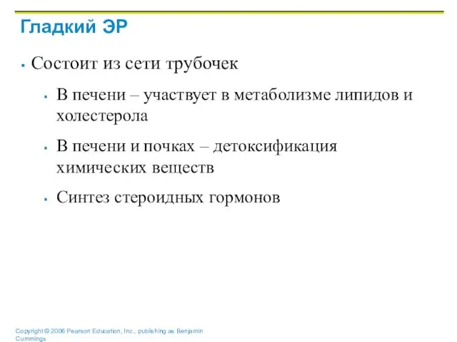 Гладкий ЭР Состоит из сети трубочек В печени – участвует в метаболизме