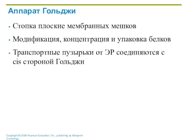 Аппарат Гольджи Стопка плоские мембранных мешков Модификация, концентрация и упаковка белков Транспортные