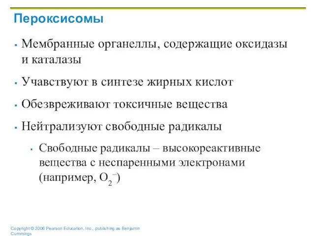 Пероксисомы Мембранные органеллы, содержащие оксидазы и каталазы Учавствуют в синтезе жирных кислот