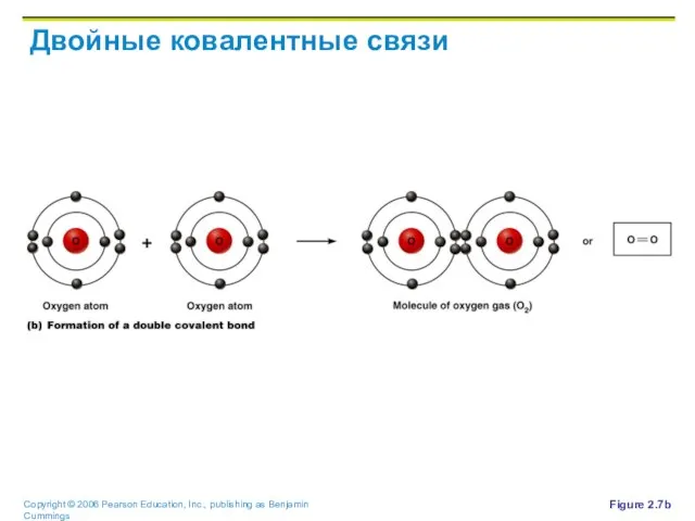 Двойные ковалентные связи Figure 2.7b