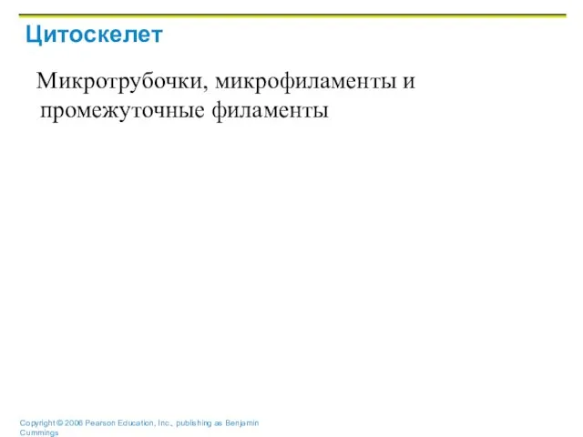 Цитоскелет Микротрубочки, микрофиламенты и промежуточные филаменты