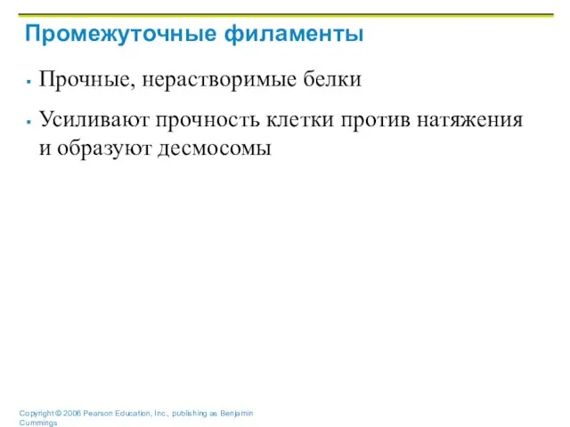 Промежуточные филаменты Прочные, нерастворимые белки Усиливают прочность клетки против натяжения и образуют десмосомы