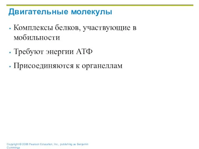 Двигательные молекулы Комплексы белков, участвующие в мобильности Требуют энергии АТФ Присоединяются к органеллам