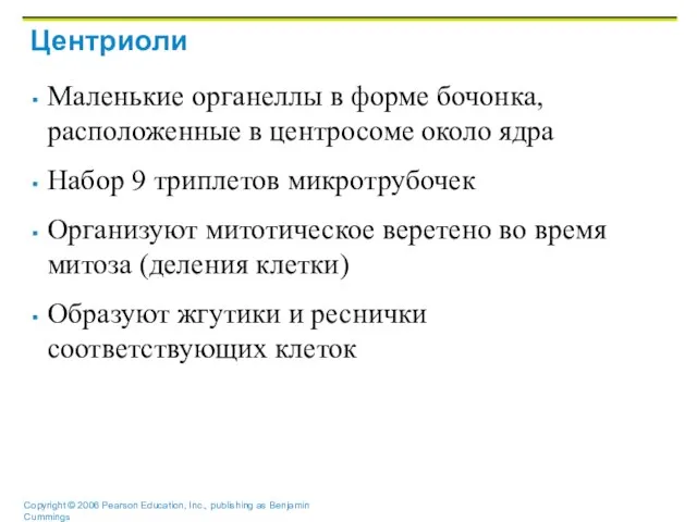 Центриоли Маленькие органеллы в форме бочонка, расположенные в центросоме около ядра Набор