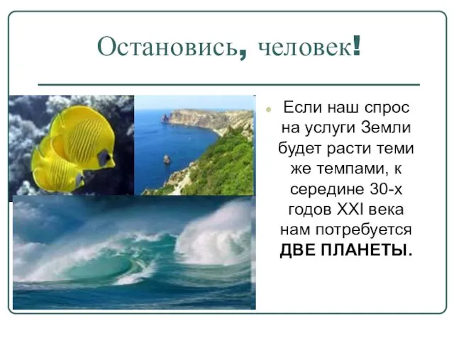 Остановись, человек! Если наш спрос на услуги Земли будет расти теми же