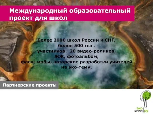 Более 2000 школ России и СНГ, более 500 тыс. участников. 20 видео-роликов,
