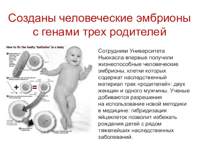 Созданы человеческие эмбрионы с генами трех родителей Сотрудники Университета Ньюкасла впервые получили