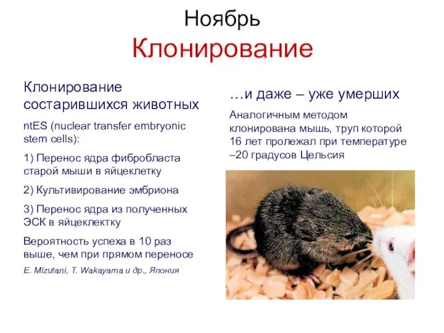 Ноябрь Клонирование Клонирование состарившихся животных ntES (nuclear transfer embryonic stem cells): 1)