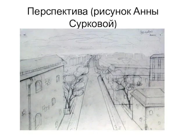 Перспектива (рисунок Анны Сурковой)