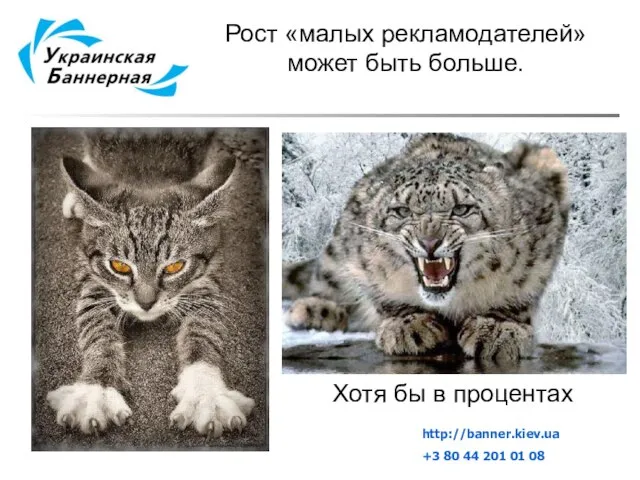 Рост «малых рекламодателей» может быть больше. Хотя бы в процентах http://banner.kiev.ua +3