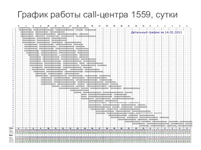 График работы call-центра 1559, сутки